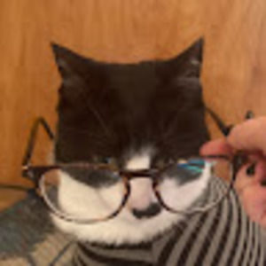 Meet your Posher, Midge